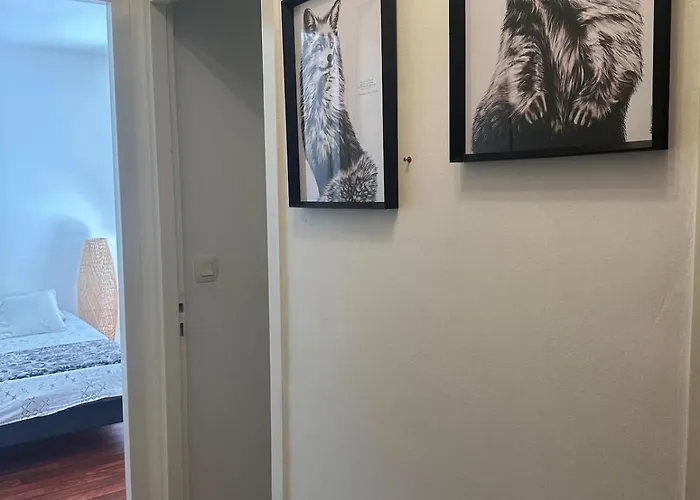 Hyper Centre דירה *