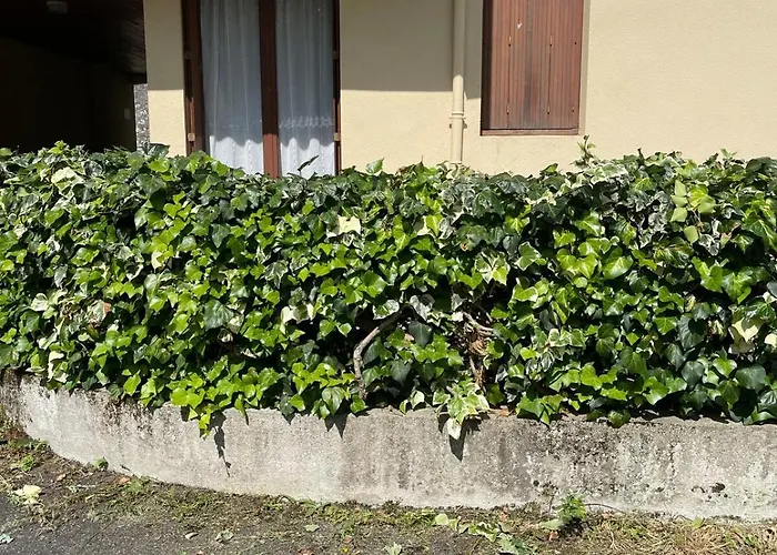 דירה Hyper Centre *